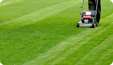 Lawn Care Services