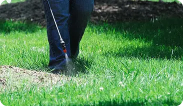 Year-round programs for a thicker, healthier lawn
